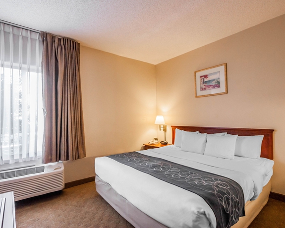 Imagen de la habitación del Hotel Comfort Suites, Cordova. Foto 5
