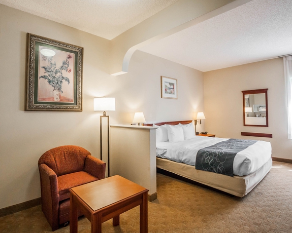 Imagen de la habitación del Hotel Comfort Suites, Cordova. Foto 9