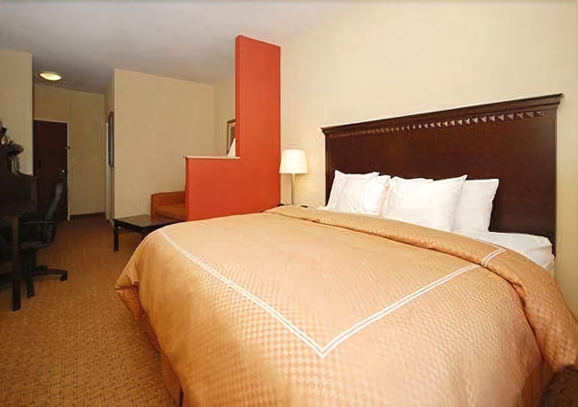 Imagen de la habitación del Hotel Comfort Suites Cullman I-65 Exit 310. Foto 3