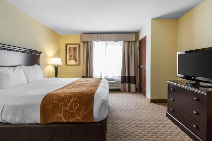 Imagen de la habitación del Hotel Comfort Suites Cullman I-65 Exit 310. Foto 8