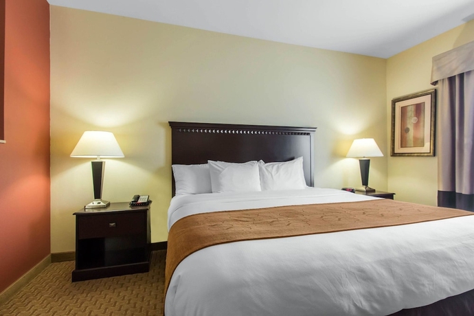 Imagen de la habitación del Hotel Comfort Suites Cullman I-65 Exit 310. Foto 17