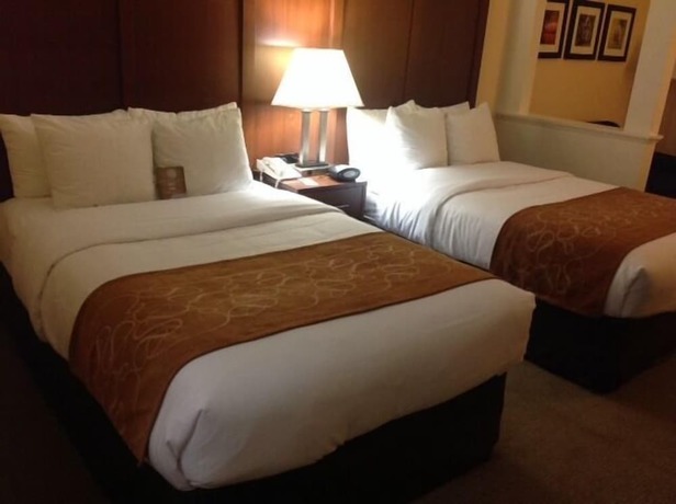 Imagen de la habitación del Hotel Comfort Suites Cumming-atlanta Near Northside Hospital Forsyth. Foto 2