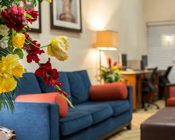 Imagen de los interiores del Hotel Comfort Suites Cumming-atlanta Near Northside Hospital Forsyth. Foto 16