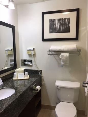 Imagen de la habitación del Hotel Comfort Suites Cumming-atlanta Near Northside Hospital Forsyth. Foto 6