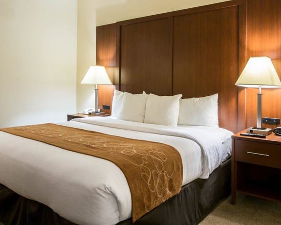Imagen de la habitación del Hotel Comfort Suites Cumming-atlanta Near Northside Hospital Forsyth. Foto 8