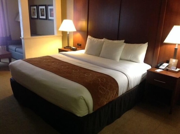 Imagen de la habitación del Hotel Comfort Suites Cumming-atlanta Near Northside Hospital Forsyth. Foto 9