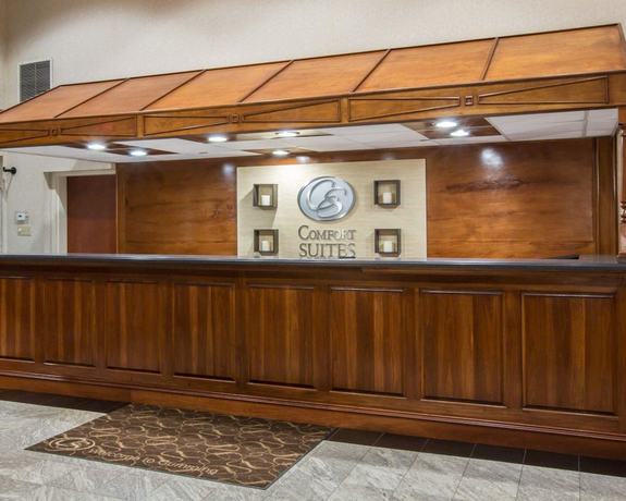 Imagen de los interiores del Hotel Comfort Suites Cumming-atlanta Near Northside Hospital Forsyth. Foto 19