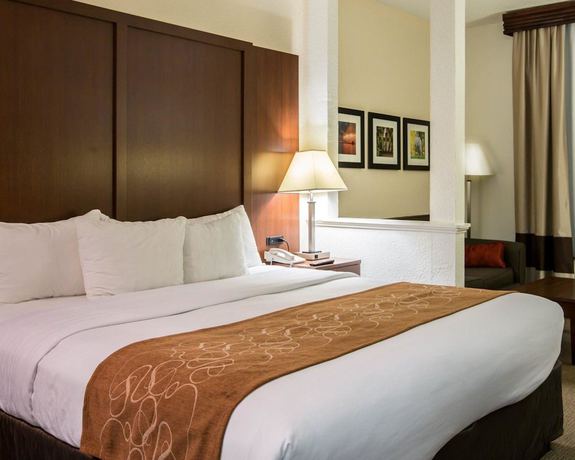 Imagen de la habitación del Hotel Comfort Suites Cumming-atlanta Near Northside Hospital Forsyth. Foto 13
