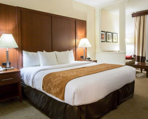 Imagen de la habitación del Hotel Comfort Suites Cumming-atlanta Near Northside Hospital Forsyth. Foto 14
