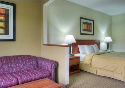 Imagen de la habitación del Hotel Comfort Suites, Danville. Foto 6