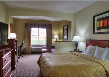 Imagen de la habitación del Hotel Comfort Suites, Danville. Foto 8