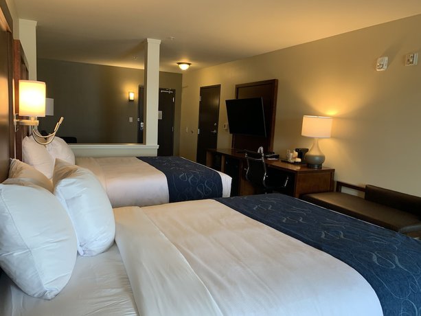 Imagen de la habitación del Hotel Comfort Suites Daytona Beach - Speedway. Foto 13