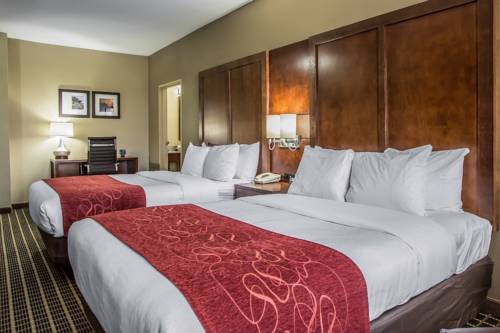 Imagen de la habitación del Hotel Comfort Suites Delavan - Lake Geneva Area. Foto 3