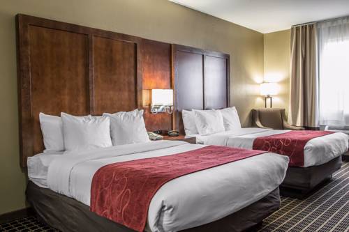 Imagen de la habitación del Hotel Comfort Suites Delavan - Lake Geneva Area. Foto 6