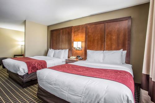 Imagen de la habitación del Hotel Comfort Suites Delavan - Lake Geneva Area. Foto 8