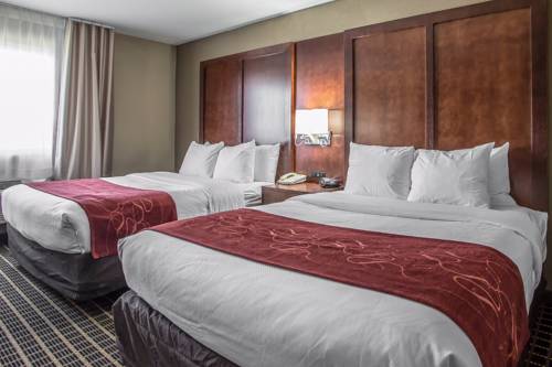 Imagen de la habitación del Hotel Comfort Suites Delavan - Lake Geneva Area. Foto 9