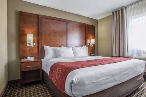 Imagen de la habitación del Hotel Comfort Suites Delavan - Lake Geneva Area. Foto 10