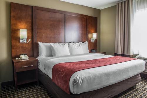 Imagen de la habitación del Hotel Comfort Suites Delavan - Lake Geneva Area. Foto 13