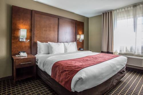 Imagen de la habitación del Hotel Comfort Suites Delavan - Lake Geneva Area. Foto 16