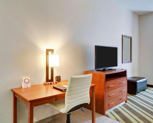 Imagen de la habitación del Hotel Comfort Suites Denham Springs, Denham Springs. Foto 6