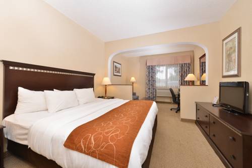 Imagen de la habitación del Hotel Comfort Suites Denver North - Westminster. Foto 1
