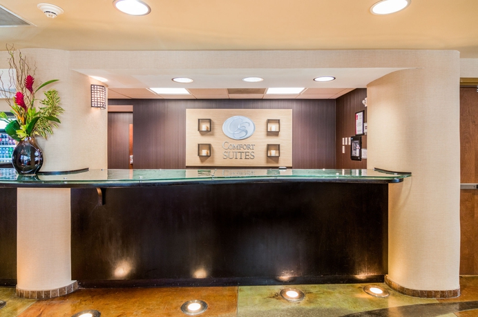 Imagen de los interiores del Hotel Comfort Suites Dfw North/grapevine. Foto 10