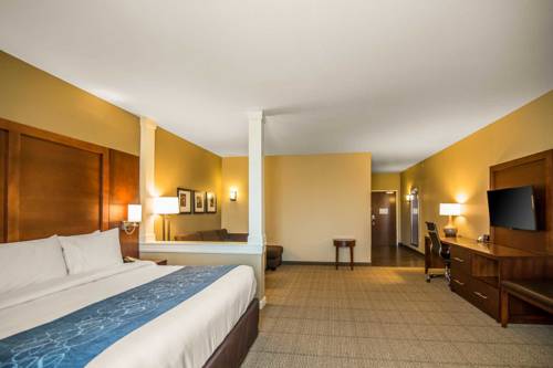Imagen de la habitación del Hotel Comfort Suites Dodge City. Foto 5
