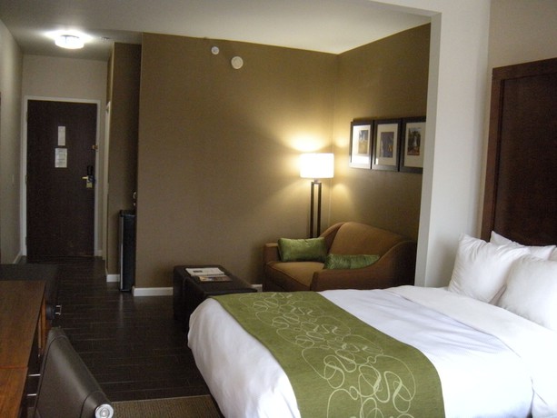 Imagen de la habitación del Hotel Comfort Suites Dover. Foto 4