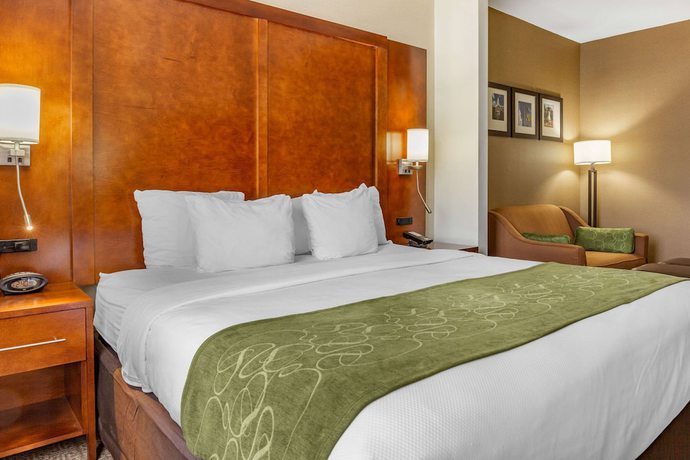 Imagen de la habitación del Hotel Comfort Suites Dover. Foto 16