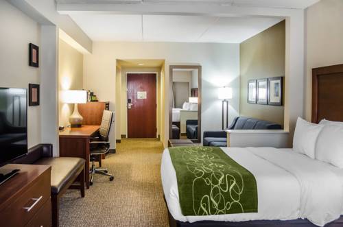 Imagen de la habitación del Hotel Comfort Suites Downtown Carlisle. Foto 7