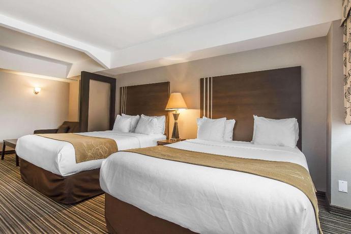 Imagen de la habitación del Hotel Comfort Suites Downtown, Montreal. Foto 8