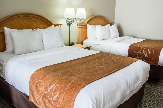 Imagen de la habitación del Hotel Comfort Suites Downtown, Orlando. Foto 7