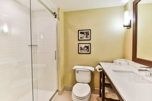 Imagen de la habitación del Hotel Comfort Suites Downtown Windsor. Foto 3