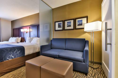 Imagen de la habitación del Hotel Comfort Suites Downtown Windsor. Foto 6