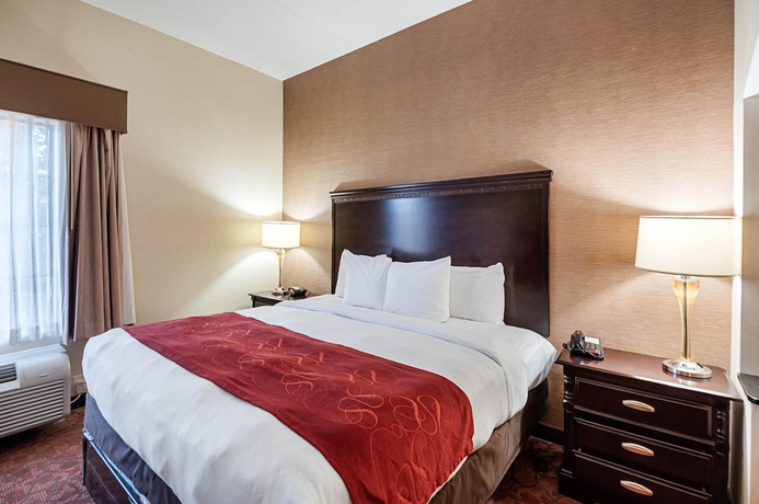 Imagen de la habitación del Hotel Comfort Suites Dulles Airport. Foto 2