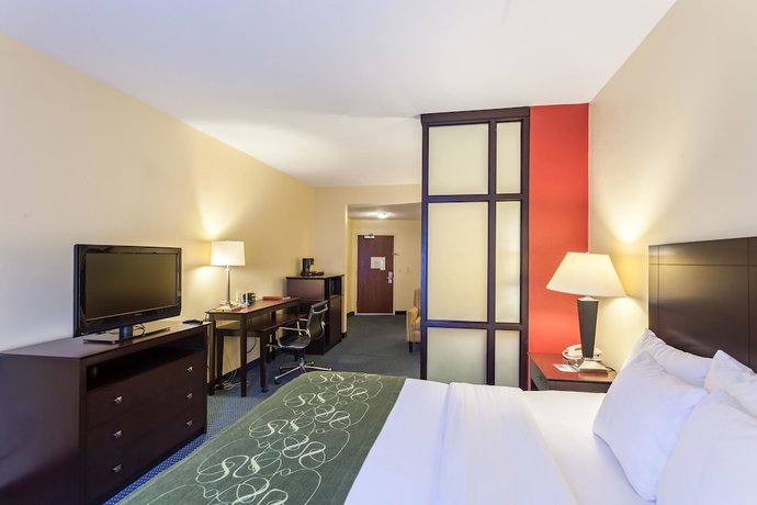 Imagen de la habitación del Hotel Comfort Suites East Lincoln - Mall Area. Foto 4
