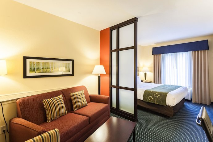 Imagen de la habitación del Hotel Comfort Suites East Lincoln - Mall Area. Foto 11