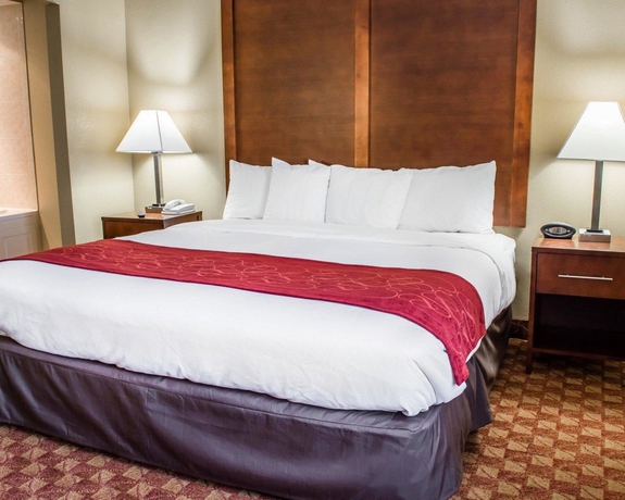 Imagen de la habitación del Hotel Comfort Suites, Edgewood Hill. Foto 8