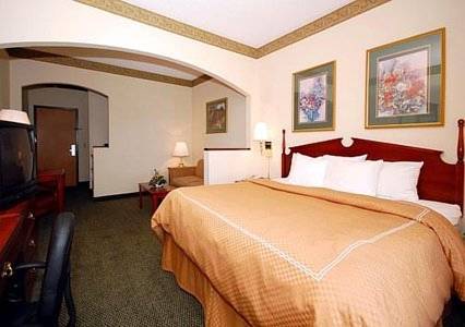 Imagen de la habitación del Hotel Comfort Suites Effingham. Foto 2