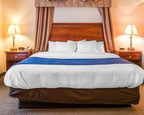 Imagen de la habitación del Hotel Comfort Suites Findlay I-75. Foto 3