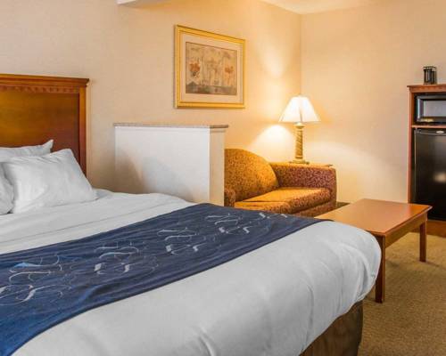 Imagen de la habitación del Hotel Comfort Suites Findlay I-75. Foto 8