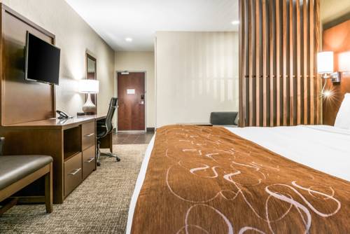 Imagen de la habitación del Hotel Comfort Suites Florence - Cincinnati South. Foto 1