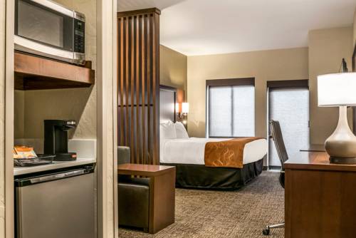 Imagen de la habitación del Hotel Comfort Suites Florence - Cincinnati South. Foto 2