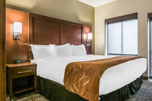 Imagen de la habitación del Hotel Comfort Suites Florence - Cincinnati South. Foto 3