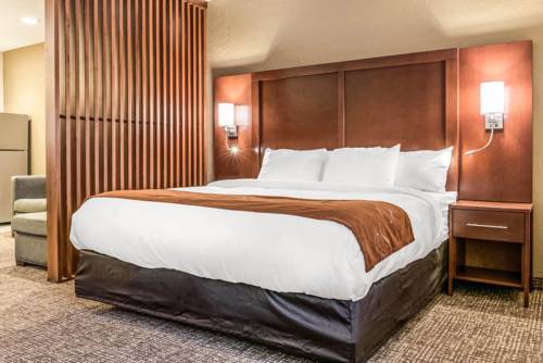 Imagen de la habitación del Hotel Comfort Suites Florence - Cincinnati South. Foto 4