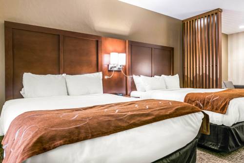 Imagen de la habitación del Hotel Comfort Suites Florence - Cincinnati South. Foto 5