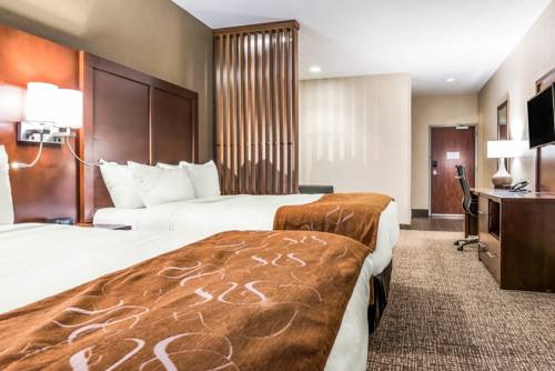 Imagen de la habitación del Hotel Comfort Suites Florence - Cincinnati South. Foto 6