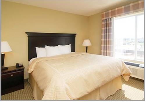 Imagen de la habitación del Hotel Comfort Suites Foley. Foto 5