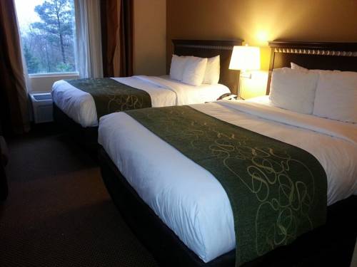 Imagen de la habitación del Hotel Comfort Suites Forsyth Near I-75. Foto 2