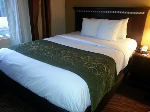 Imagen de la habitación del Hotel Comfort Suites Forsyth Near I-75. Foto 3